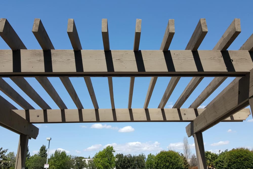 Pergola Fabrication vs. Pre-Made Pergolas: Which is Better for You?